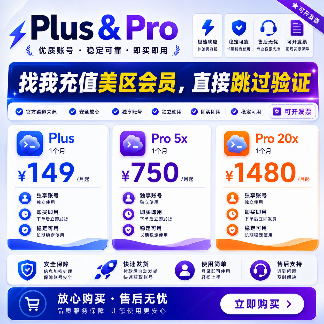 Plus 与 Pro 服务说明